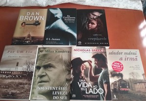imagem_8