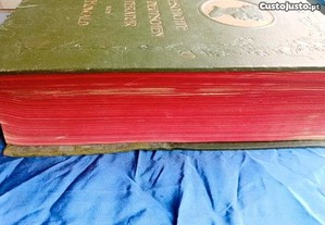 imagem_3