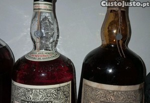 imagem_1