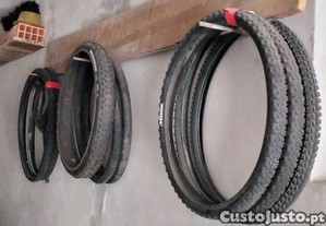 imagem_8