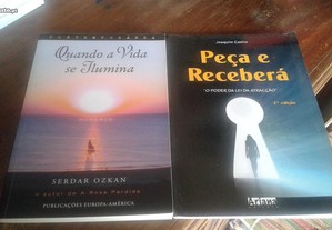 Obras de Serdar Ozkan e Joaquim Castro