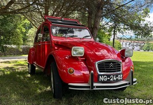 imagem_3
