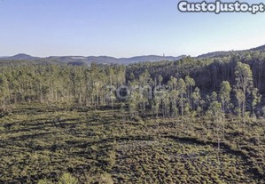 Terreno Rústico Com Cultura De Mata Mista,...