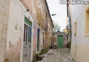 imagem_19
