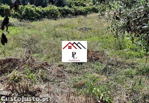 imagem_10
