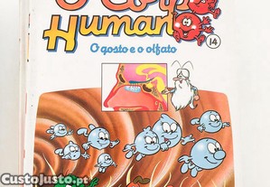 imagem_11
