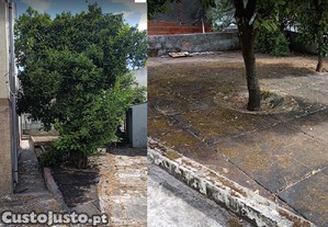 imagem_10