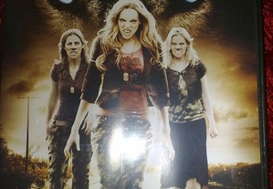 DVD A Guerra dos Lobos