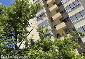 imagem_28