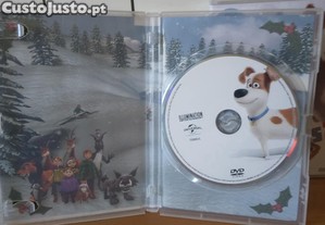 imagem_8
