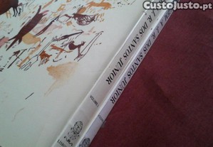 imagem_8