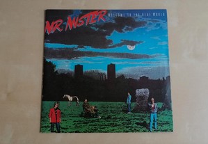 Mr. Mister Welcome To The Real World
