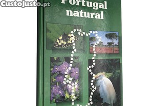 imagem_1
