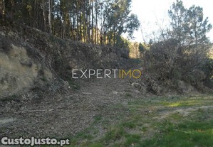 imagem_23