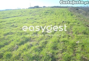 imagem_6