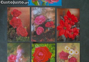 imagem_5