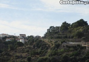 imagem_7