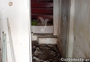 imagem_6