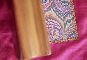 imagem_6