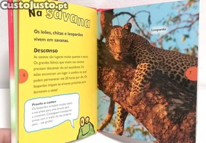 imagem_4