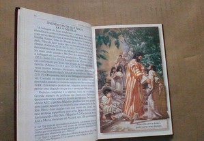 imagem_4