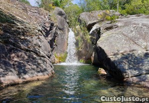 imagem_18