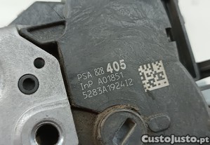 imagem_5