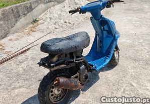 imagem_1