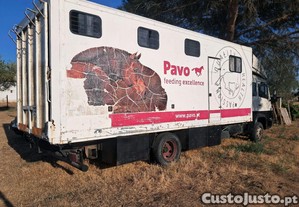 imagem_12