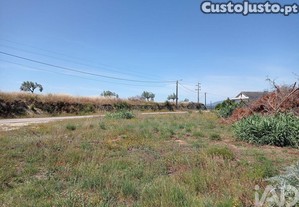 Terreno Agrícola em Madalena e Beselga