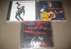 3 CDs do "Bryan Adams"/Portes Grátis