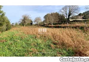 Terreno Caminha
