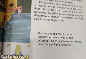 imagem_6
