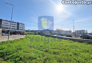 imagem_12