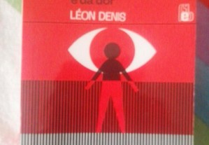 o Problema do ser do Destino e da Dor Rare Book Léon Denis