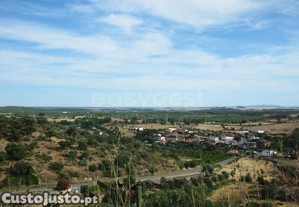 imagem_22