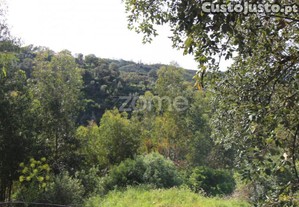 Terreno Rústico Com 5.400 M² - Pontalinhos,...