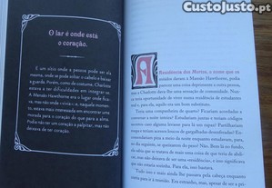 imagem_4