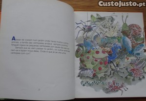 imagem_2