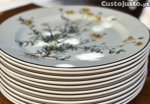 Pratos da Coleção Botânica da "Villeroy & Boch" (Vintage - anos 1980)