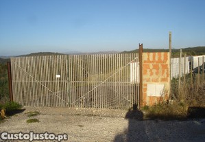 imagem_2