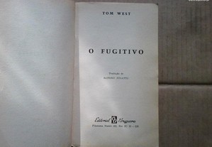 imagem_4