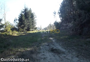 imagem_8