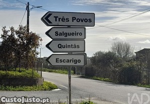 imagem_19