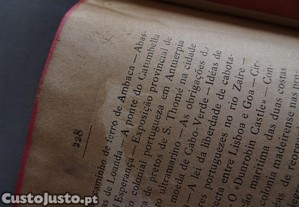 imagem_8
