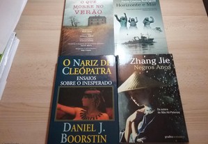 imagem_3