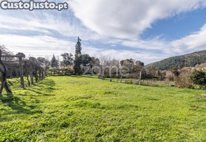 Quinta Com 74.400 M2 Em Penalonga, Ribeira De...