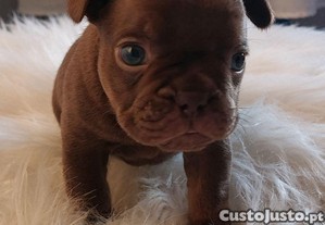 imagem_8