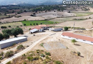 imagem_40