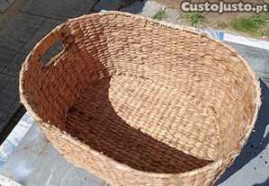 imagem_1